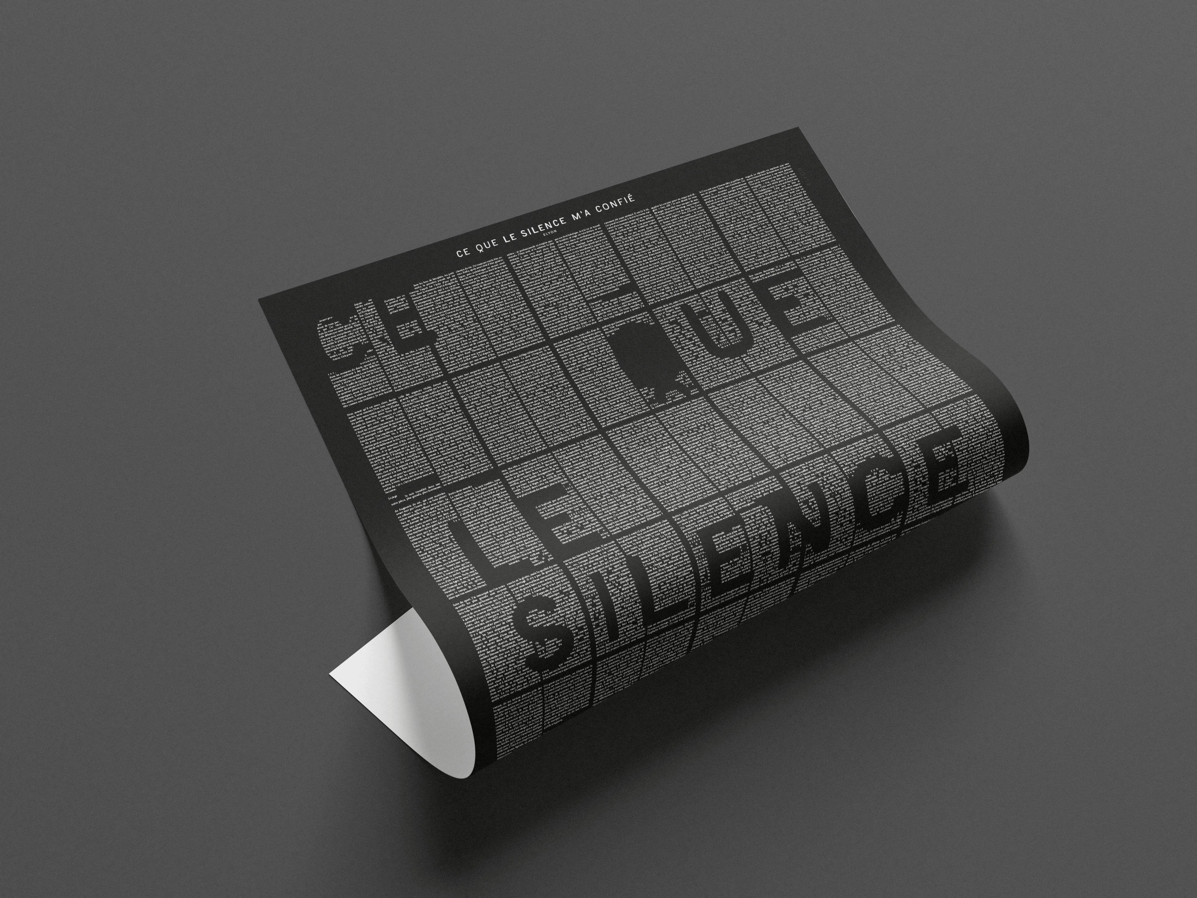 Ce que le silence m’a confié – Poster Collector